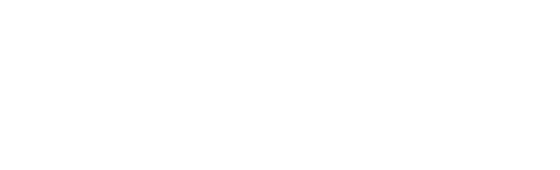 Google Partner